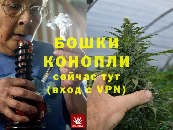 индика Аркадак