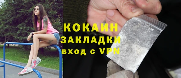 индика Аркадак