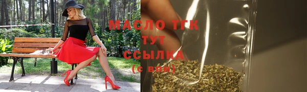 индика Аркадак
