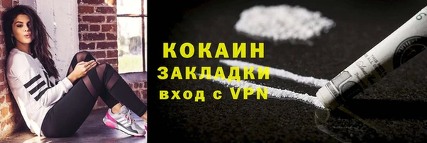 индика Аркадак