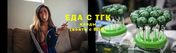 индика Аркадак
