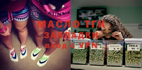 индика Аркадак