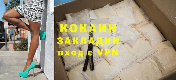 индика Аркадак