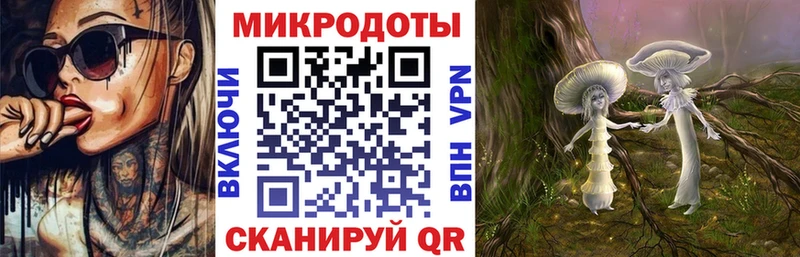 Псилоцибиновые грибы Psilocybe  Купить  Казань 